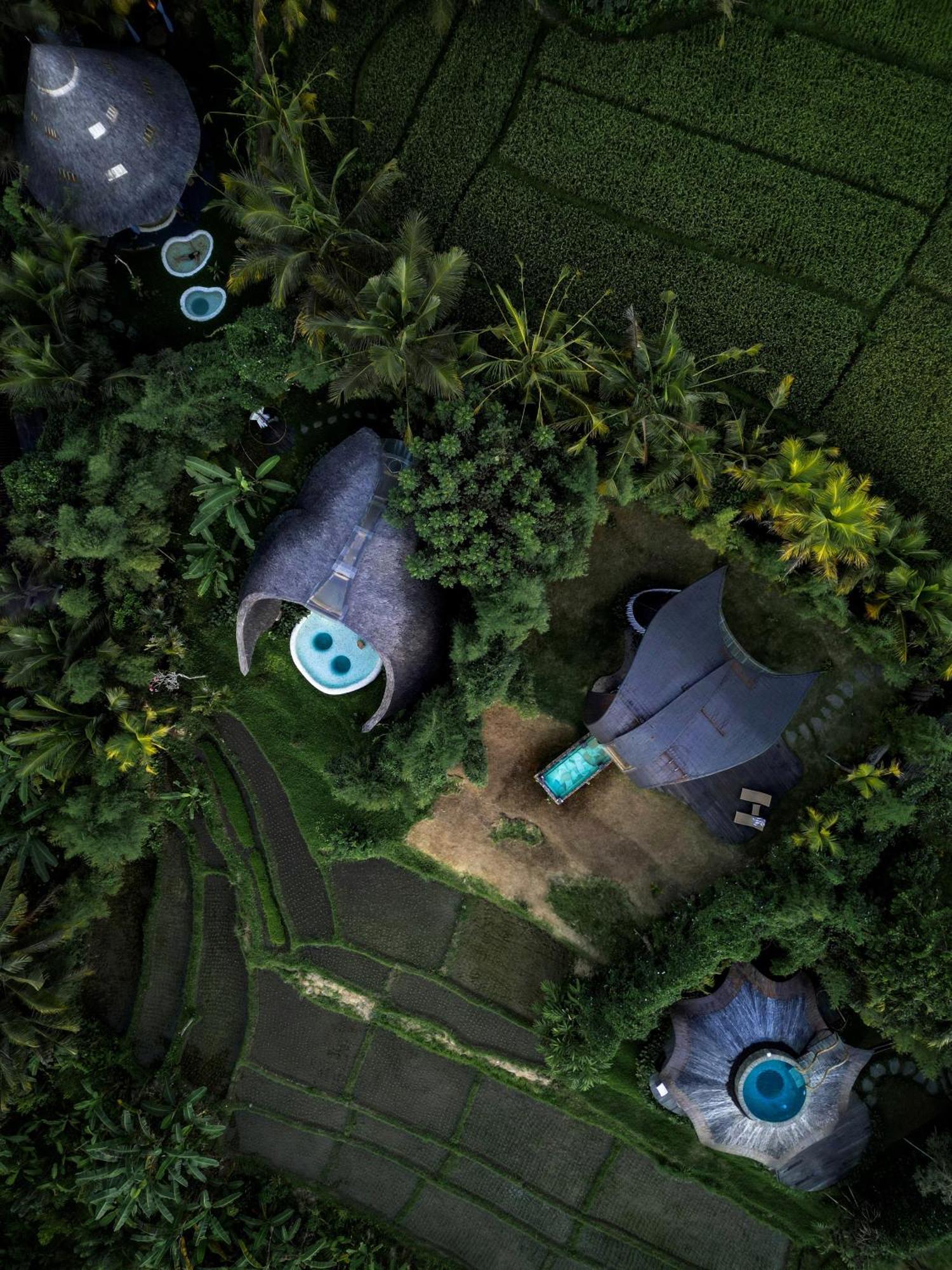 Veluvana Bali Villa *
